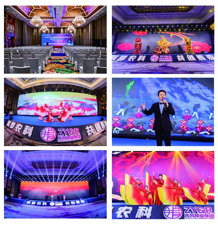 微信圖片_20241212102234 微信圖片_20241212102234