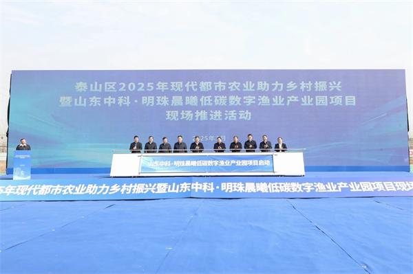 1 1